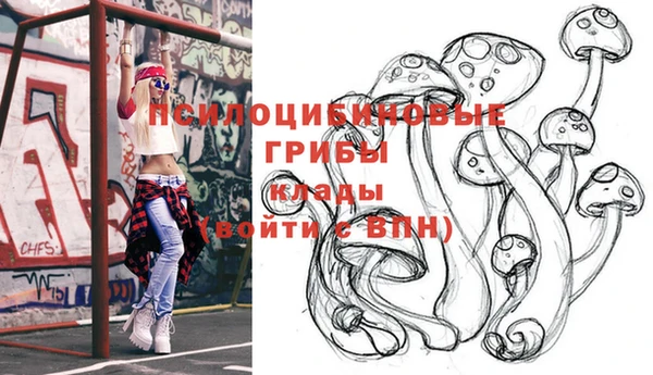 спайс Алексеевка