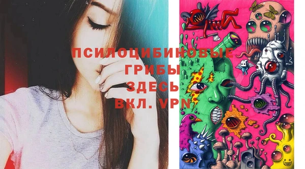 стафф Абинск