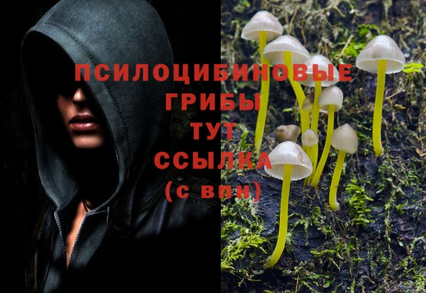 гашик Абдулино