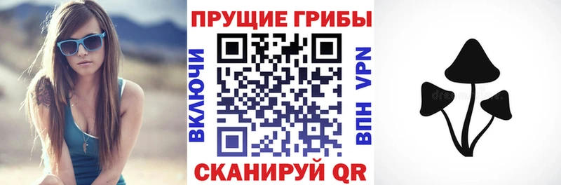 наркошоп Спас-Клепики Псилоцибиновые грибы прущие грибы